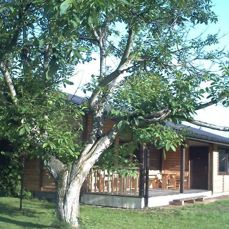 Pod Orzechem Sanok Exterior foto